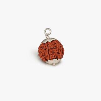 6 Mukhi Rudraksha