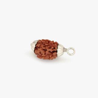 3 Mukhi Rudraksha