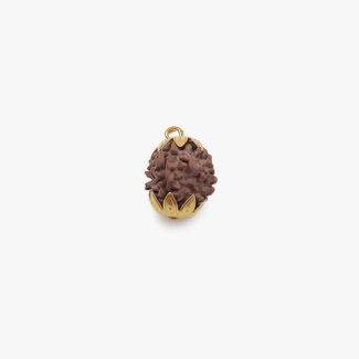 4 Mukhi Rudraksha