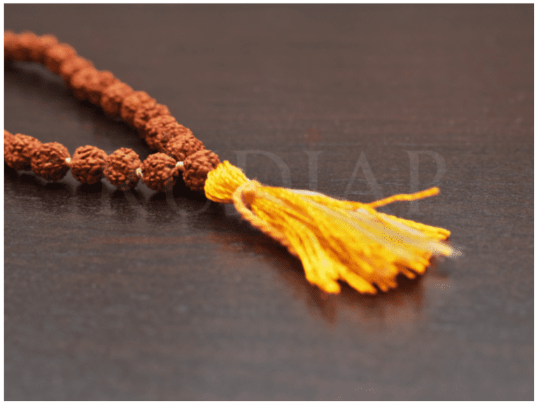 Isha Foundation Rudraksha