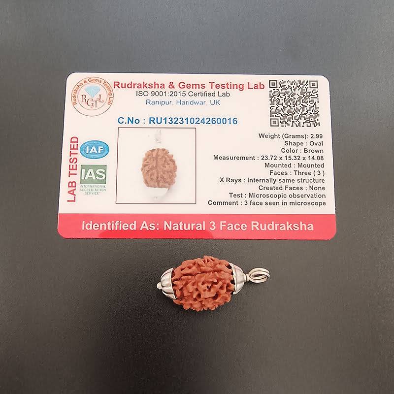 3 Mukhi Rudraksha