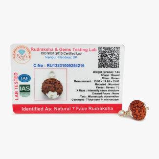 7 Mukhi Rudraksha