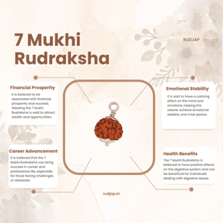 7 Mukhi Rudraksha